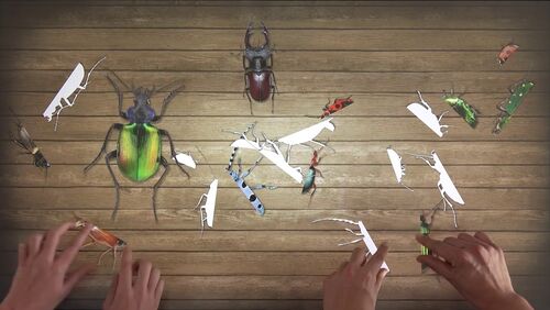 Puzzle Insects Game