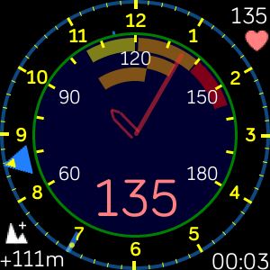 Google Fitbit watch app